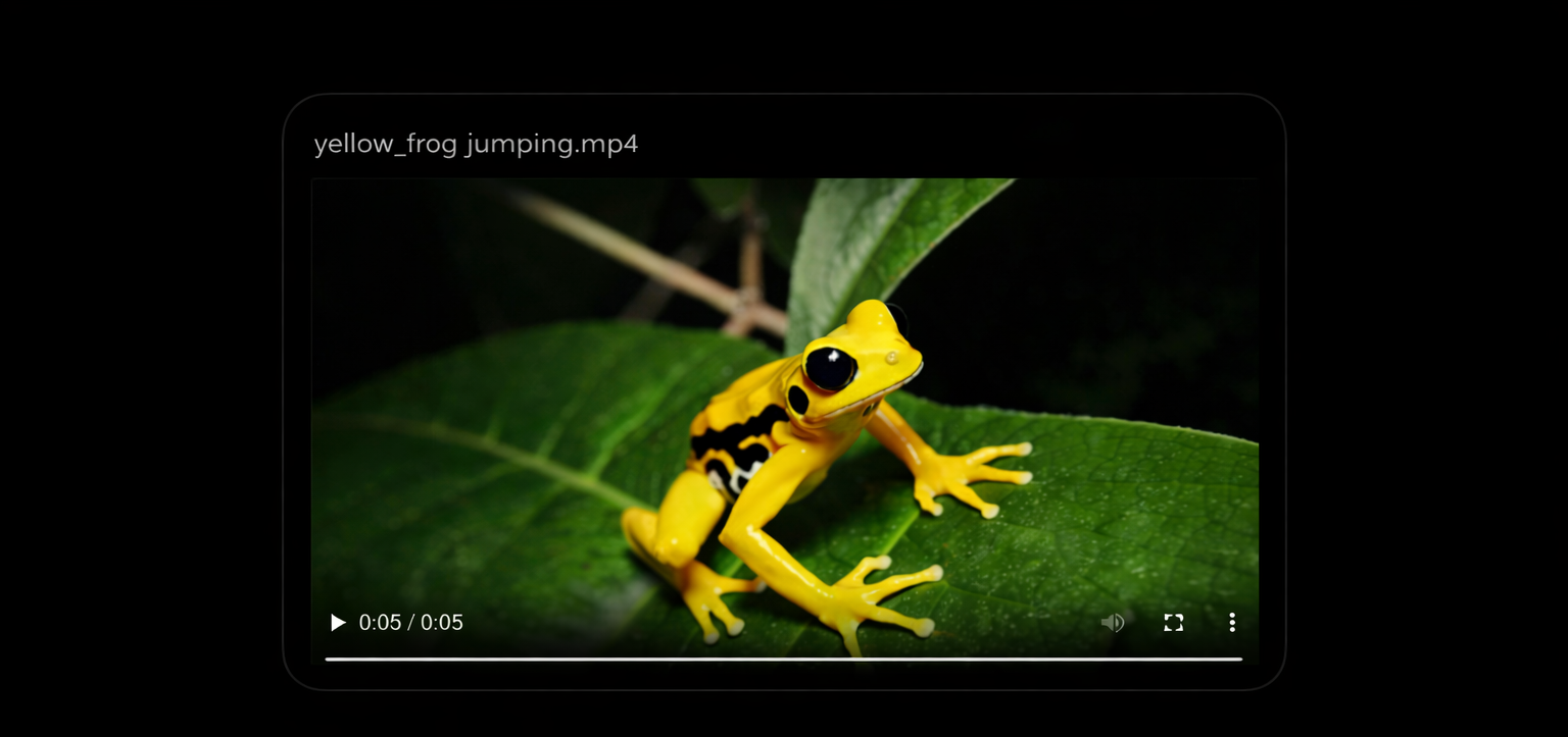Built-in file viewer